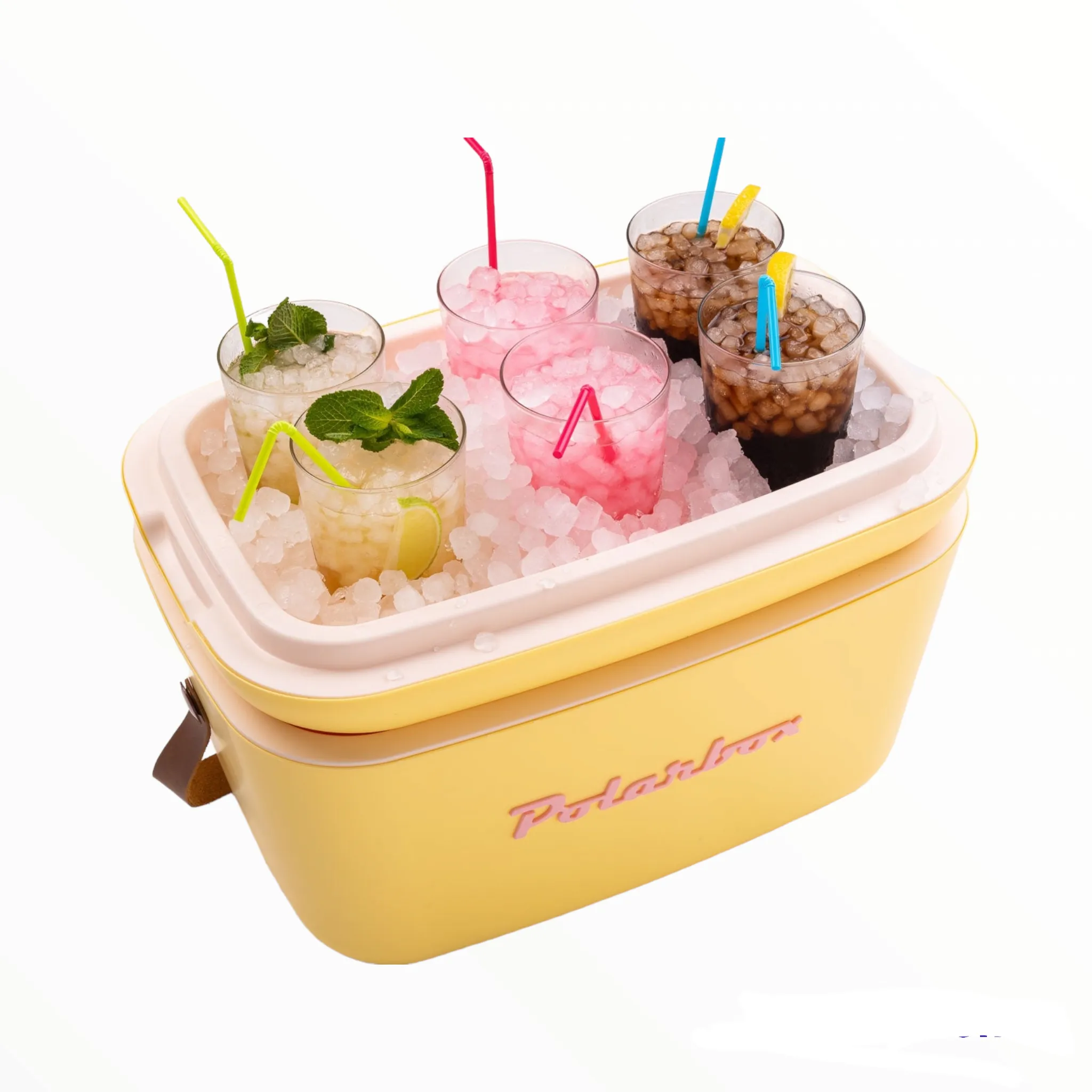 Polarbox 12L Retro Cooler Storage Container